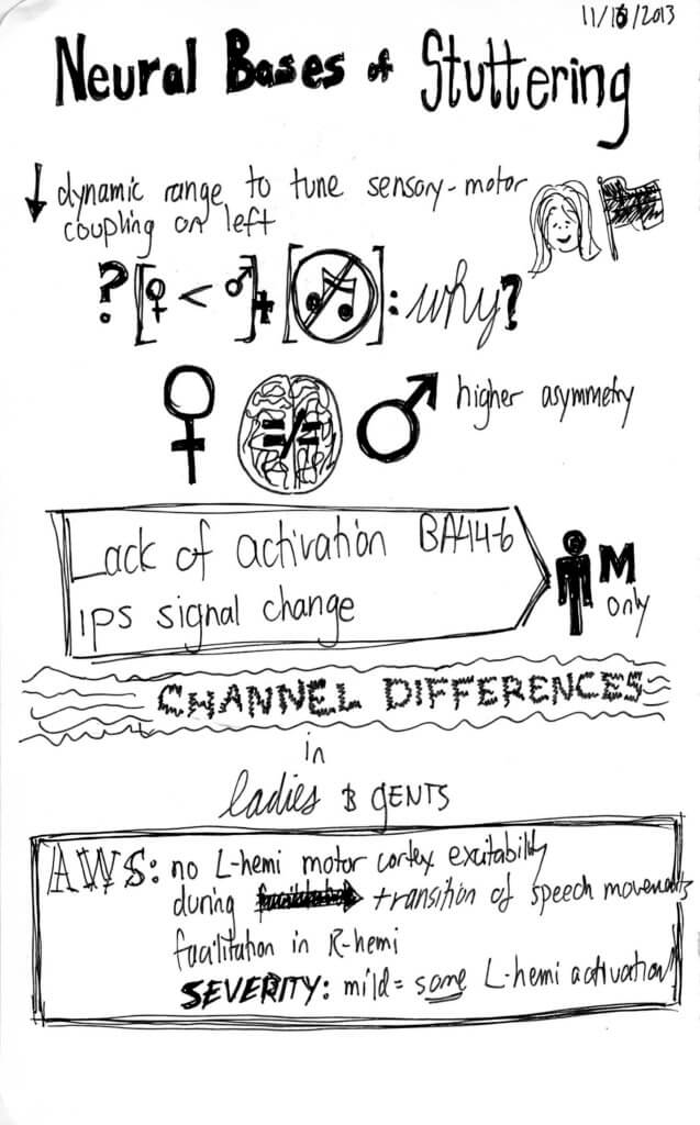 Neural bases sketchnotes 1