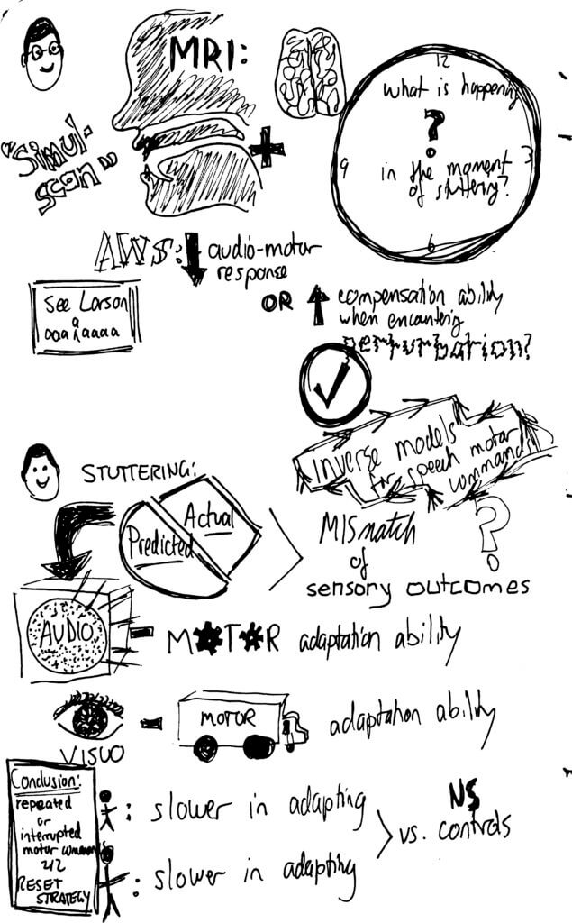 Neural bases sketchnotes 3