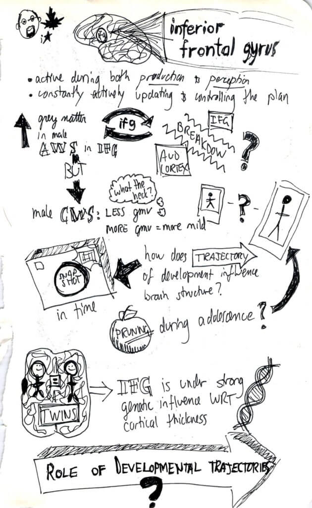 Neural bases sketchnotes 4