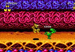 Image from the NES video game Battletoads
