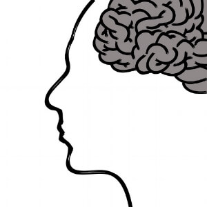 Illustrated human head silhouette with brain