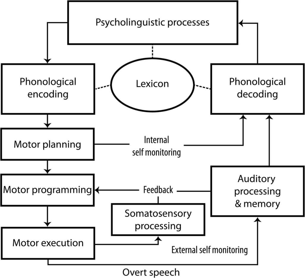 Flowchart of cognitive and motor functions involved in speech processing